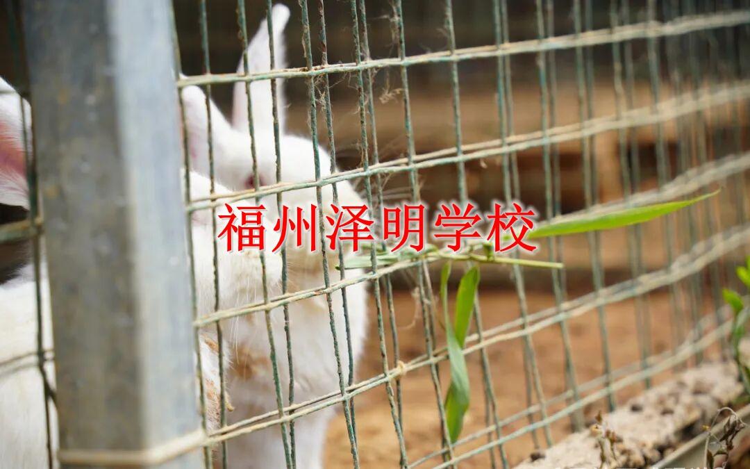 问题青少年纠正学校 福州正规心理型根源矫正机构