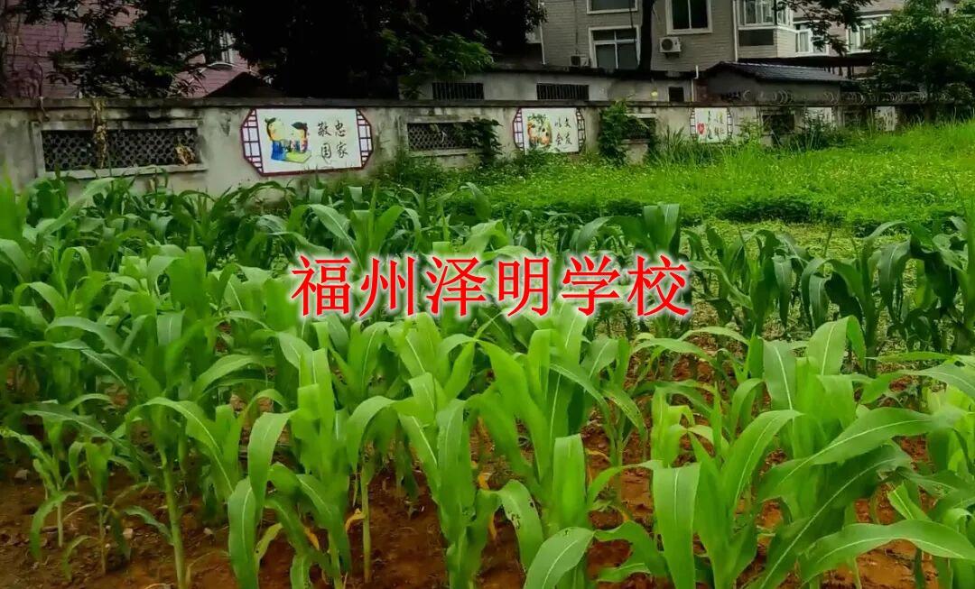 教育叛逆孩子的管教学校｜福州泽明科学心理教育，温和重塑孩子成长