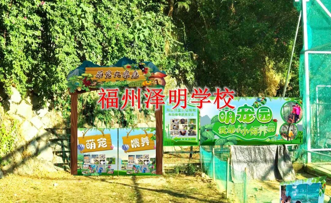正规管教叛逆孩子专门学校｜福州泽明合规办学，心理治本根治青春期叛逆厌学