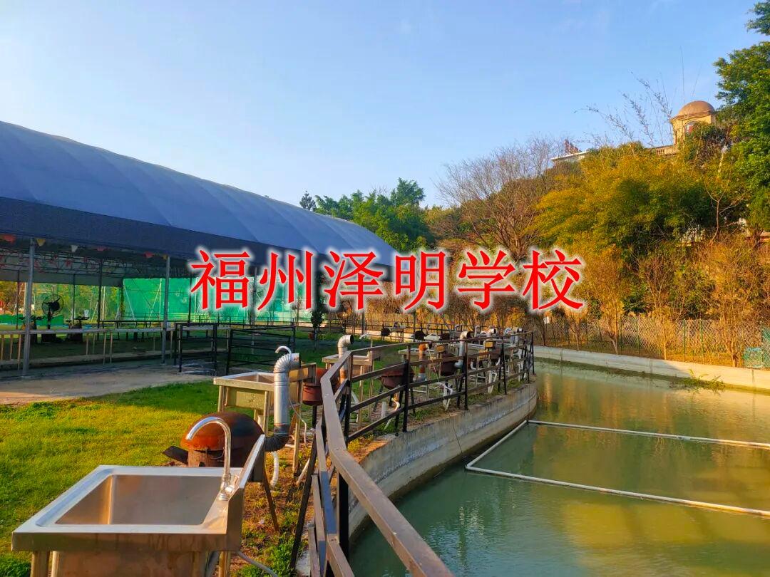 孩子厌学教育机构有｜福州正规厌学教育机构&middot;心理治本助力返校求学