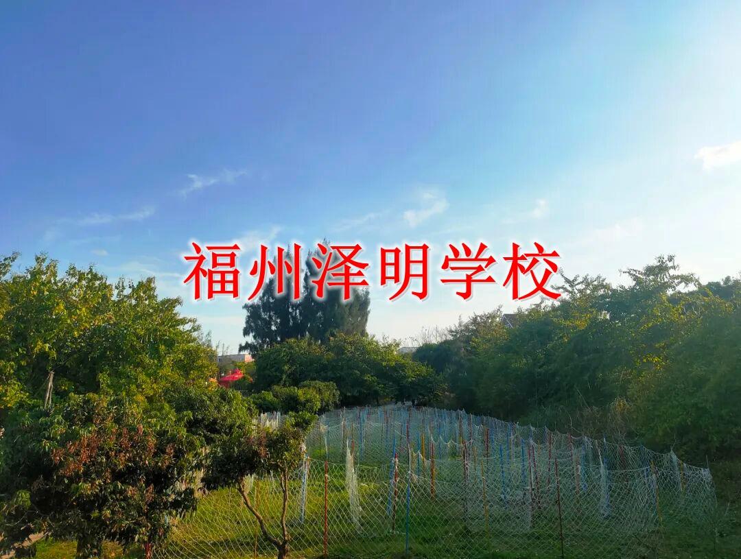 青少年励志教育培训学校在哪里 福州正规励志成长基地地址